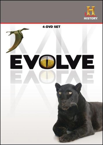 その他 Evolve [DVD] [Import] oyj0otl Amazon.co.jp: Evolve [DVD] [Import] : DVD